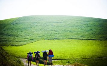 Consejos útiles para realizar el camino de Santiago Consejos Camino Santiago 356x220 Home