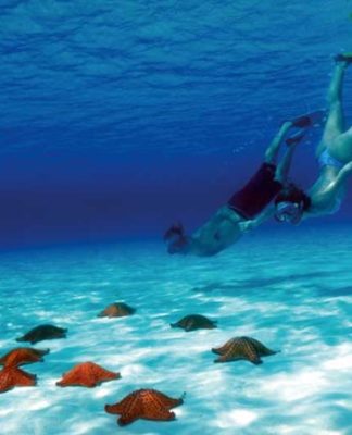 Cozumel 324x400 Home