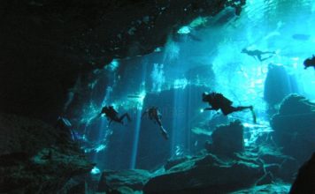 La Riviera Maya: Un mundo de nuevas Aventuras La Riviera Maya 2 356x220 Home