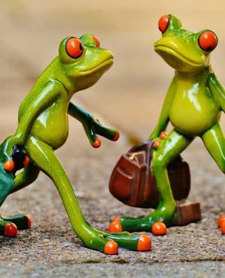 turismo asia 324x400 Home