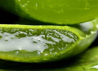 Beneficios del aloe vera en la belleza aloe vera belleza 324x235 Home