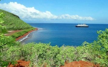 islas galapagos 356x220 Home